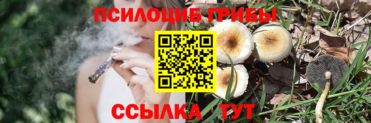Псилоцибиновые грибы MAGIC MUSHROOMS  Вход с VPN  Алейск 